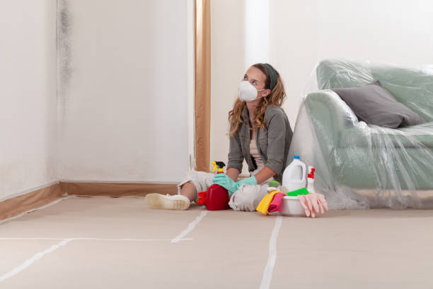 Reliable Mold Cleanup contractor in Brentwood, NY by WQB Mold Removal